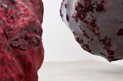 Anish Kapoor - 